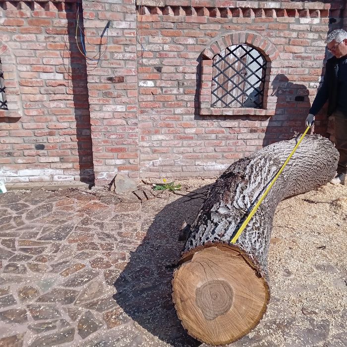 Tulpină NUC, lungime 2,50m. Preț 1600