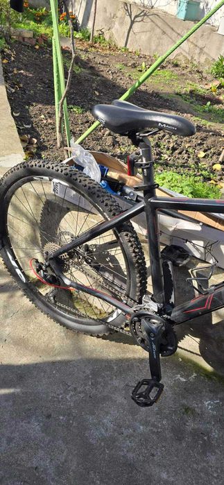 Drag Hardy Team Edition