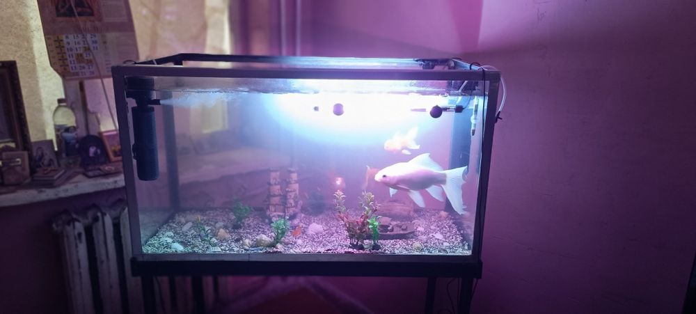 Продам аквариум с тумбой.