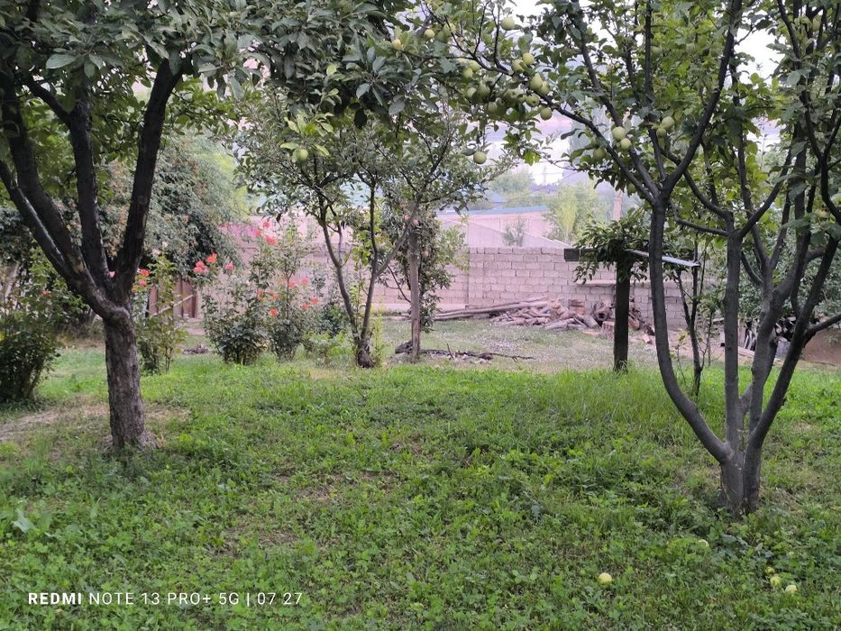 Sijjakda yer sotiladi 6 soʻtix