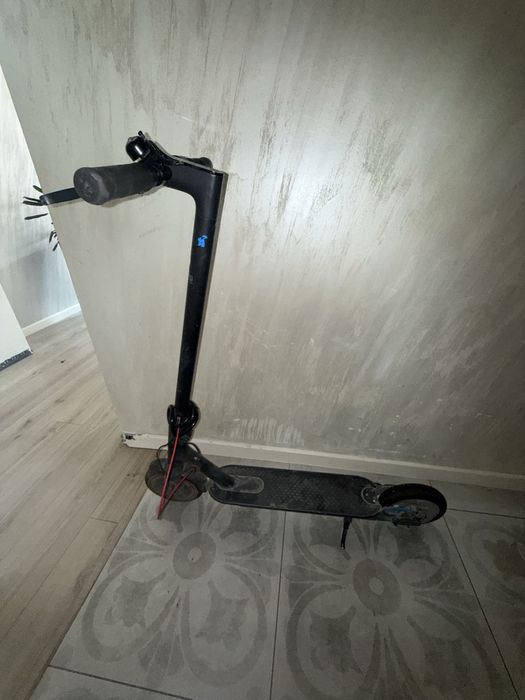m365 pro оригинал