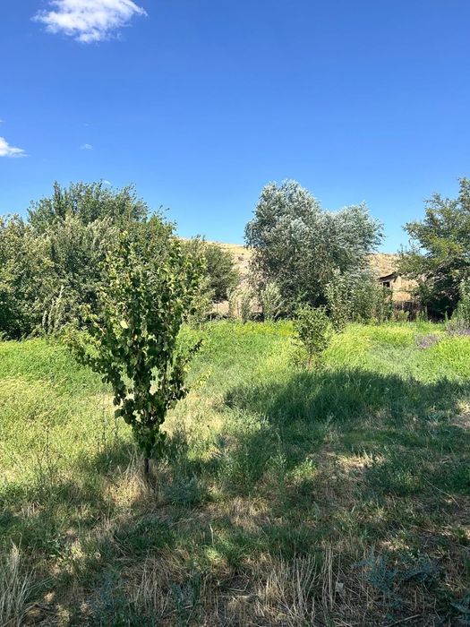 Продается кошара/Фазенда, мал қора