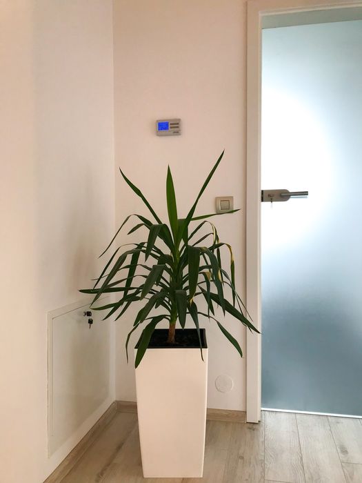 Inchiriez spatiu birou zona Brancusi