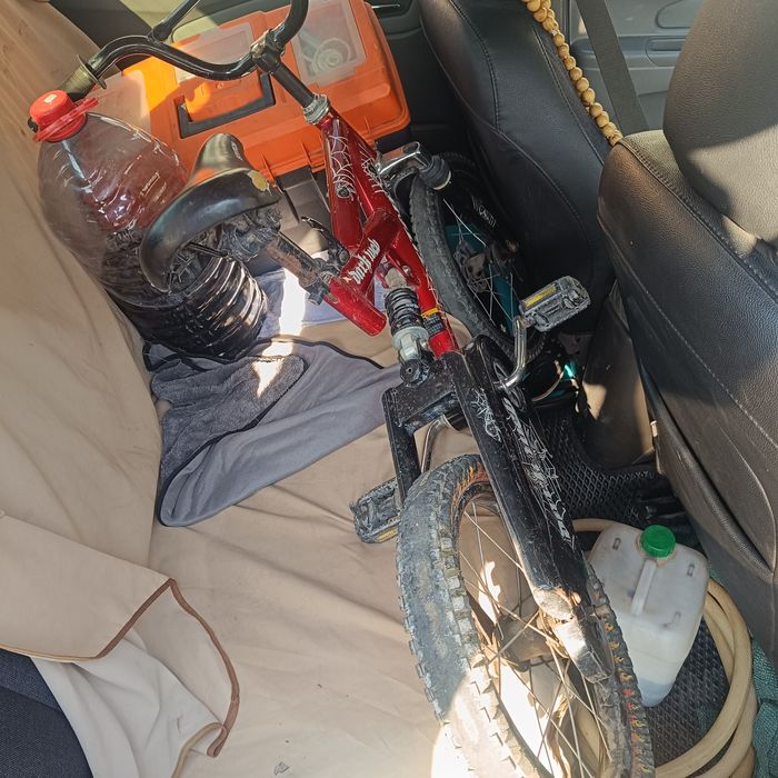 Velik sotiladi   olti yishdan 17 yoshgacha