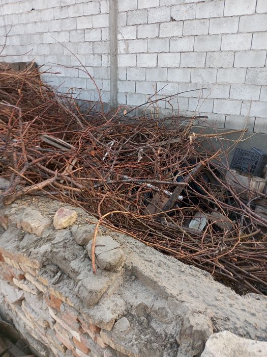 Tandir uy uchun o'tin