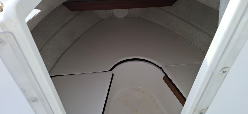 QuickSilver 520 Flamingo