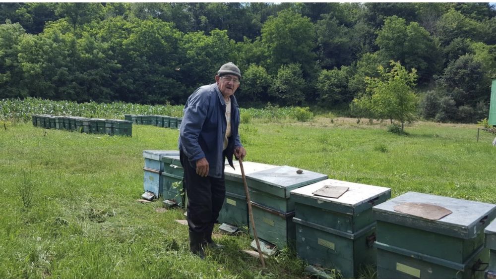 Vând stupi compleți