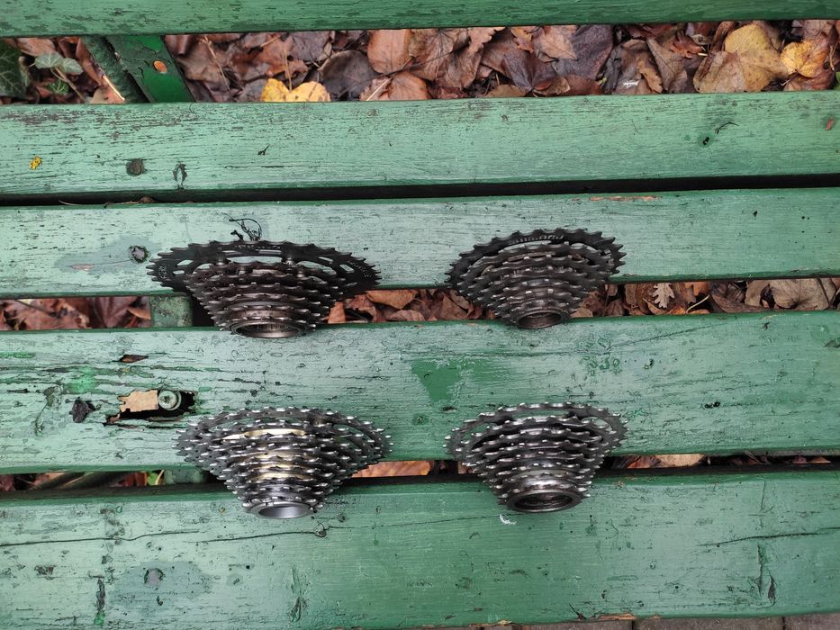 Set pinioane pe filet