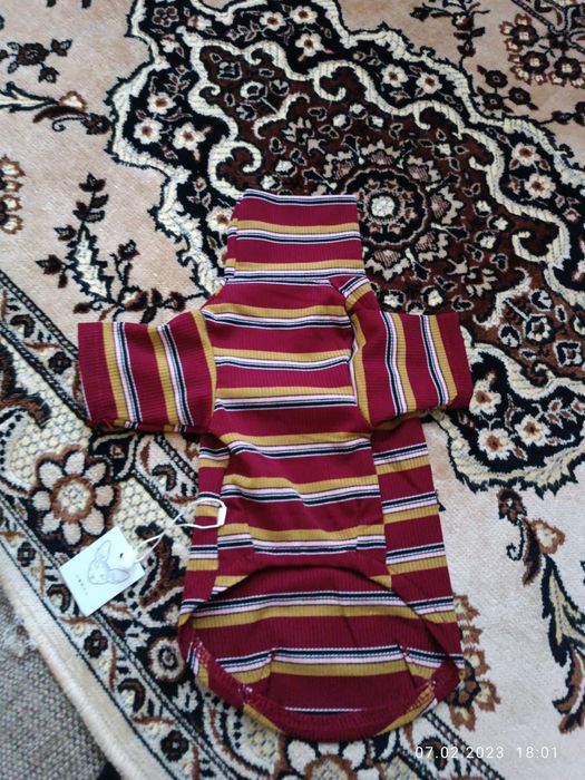 Кофточка для сфинксов Sка