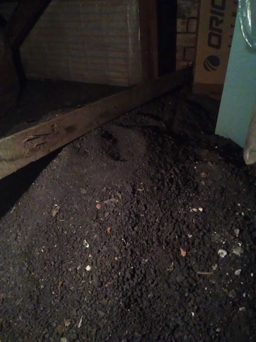 Подарявам сгурия