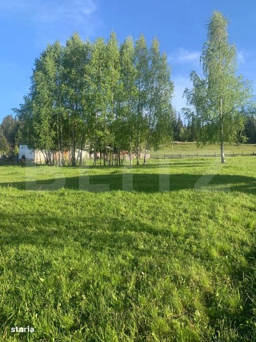 Teren intravilan in Vatra Dornei, 2000 mp