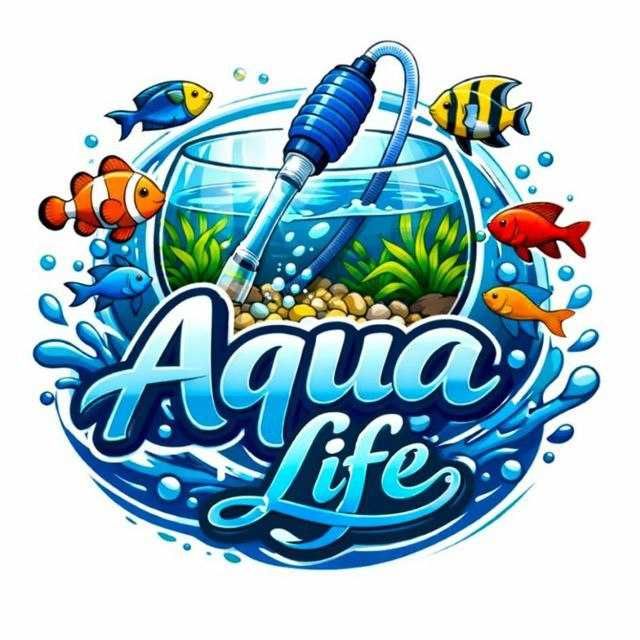Профессиональная чистка аквариума AQUALIFE