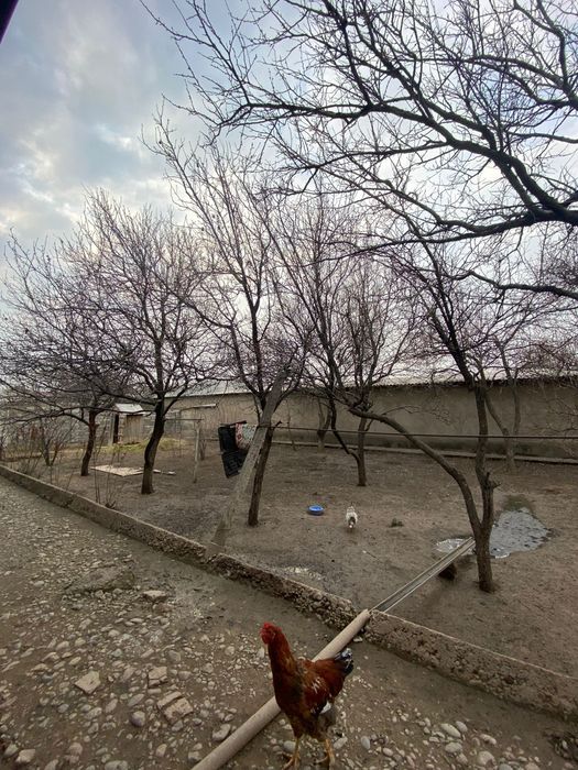 Дом недостроеный