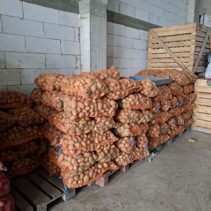 Cartofi de consum alb și roz