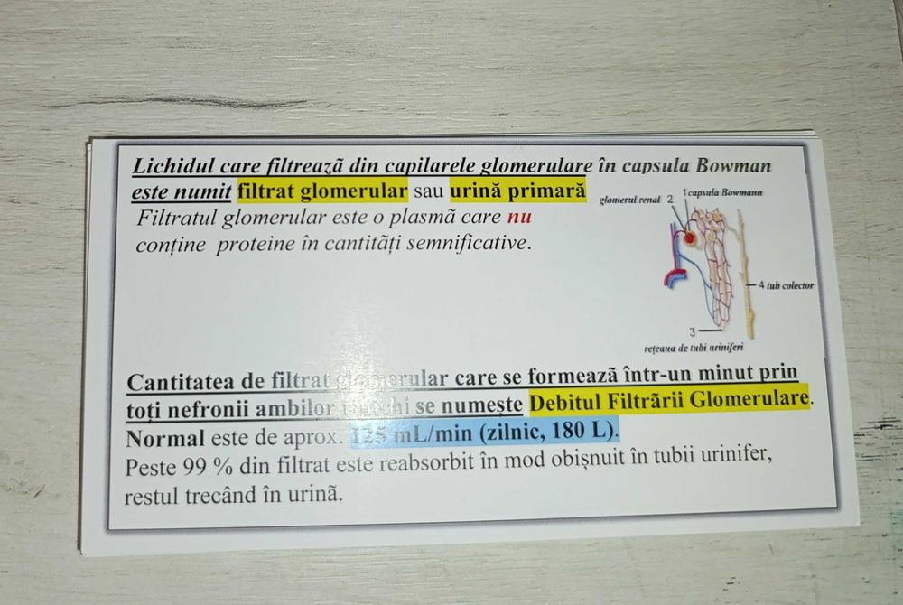 Set Flashcards Corint pe capitole