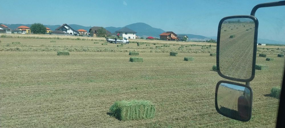 Vand baloti de LUCERNA 2025