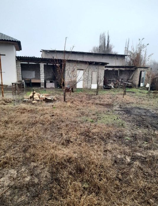 Продаётся Дача Аккурган рядом с рекой сирдарья 6-сот  кадастр есть
