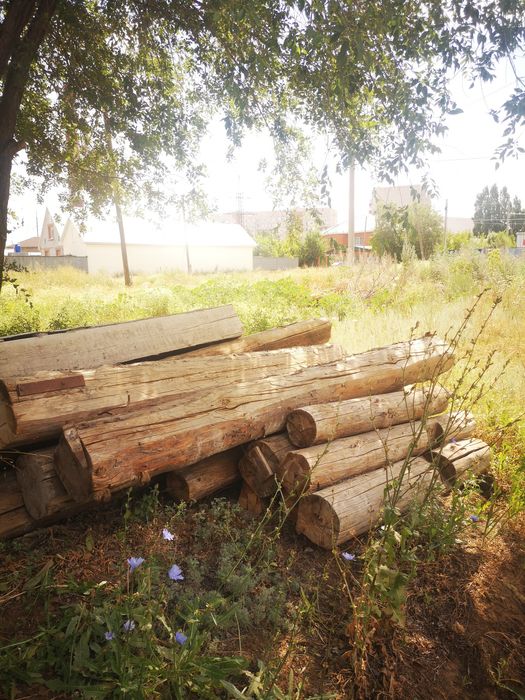Продам  бревна    .