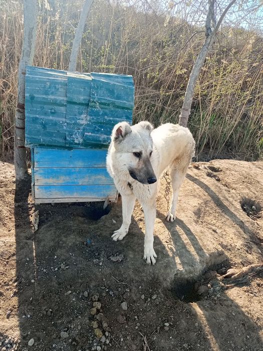 Odamlarga ziyoni tegmaydi