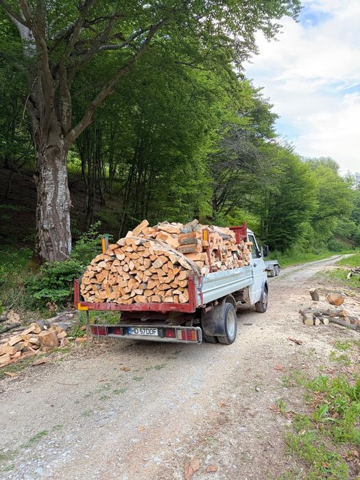 Lemn de foc Fag spart! Tot județul Hunedoara!!