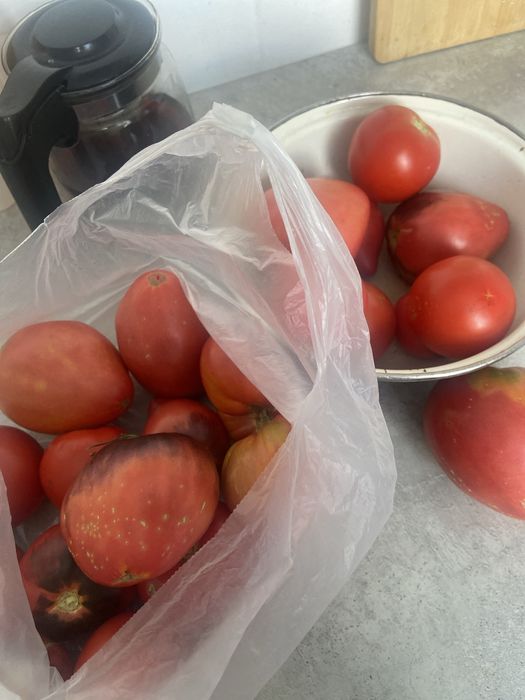 Продам домашние томаты.