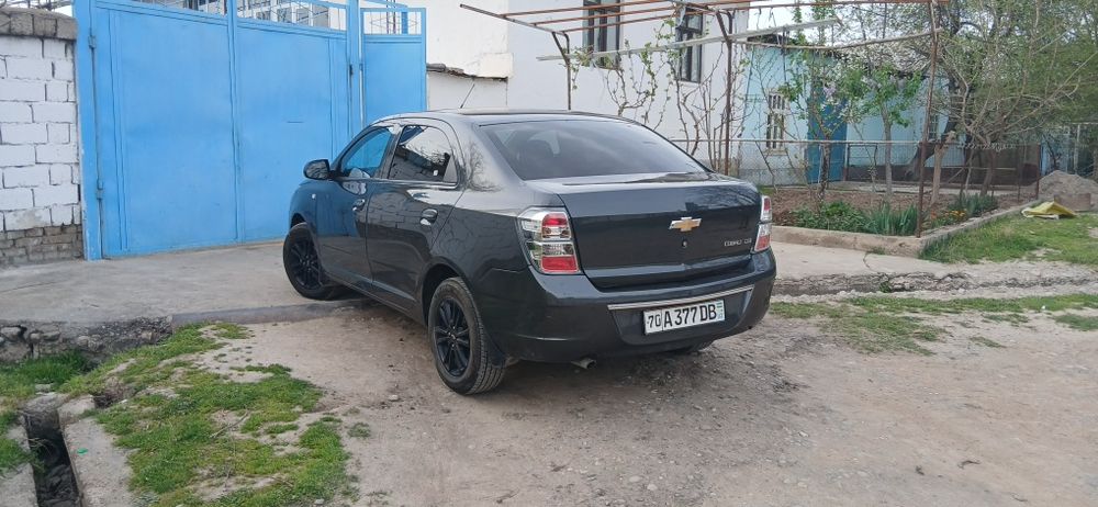Cobalt Midnight 2025