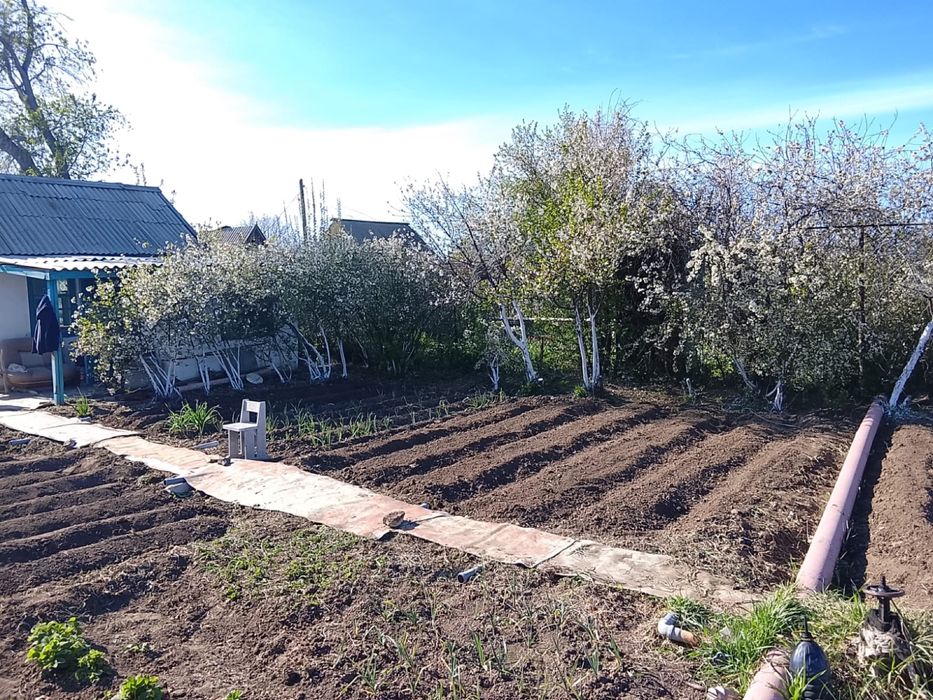 Дача 2 коллективе