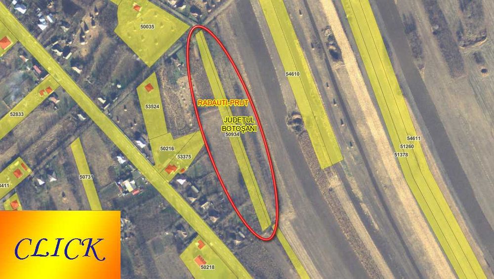 Teren intravilan 2447 mp, cu salcami,  Radauti-Prut, Botosani