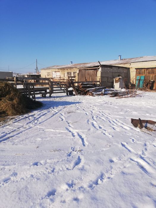 Продам фермерское хозяйство.