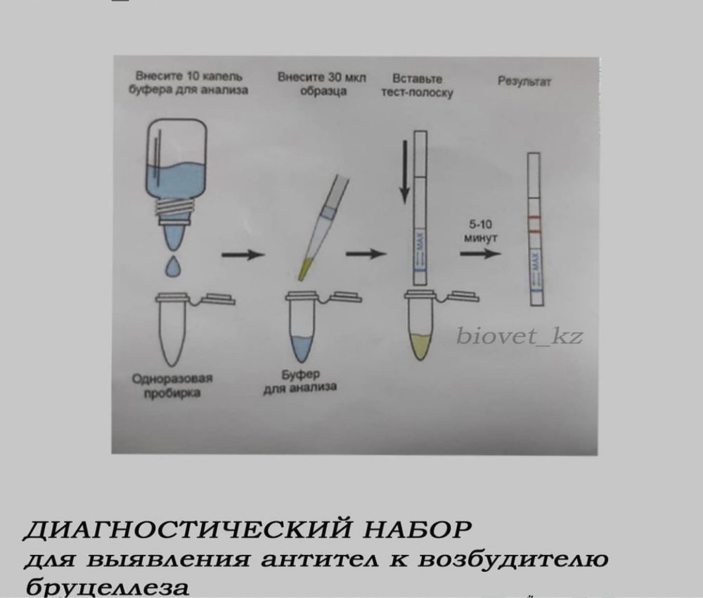 Экспресс тест на бруцеллез