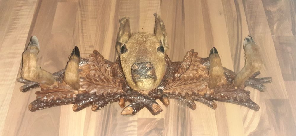 Cuiere vanatoresti panoplie