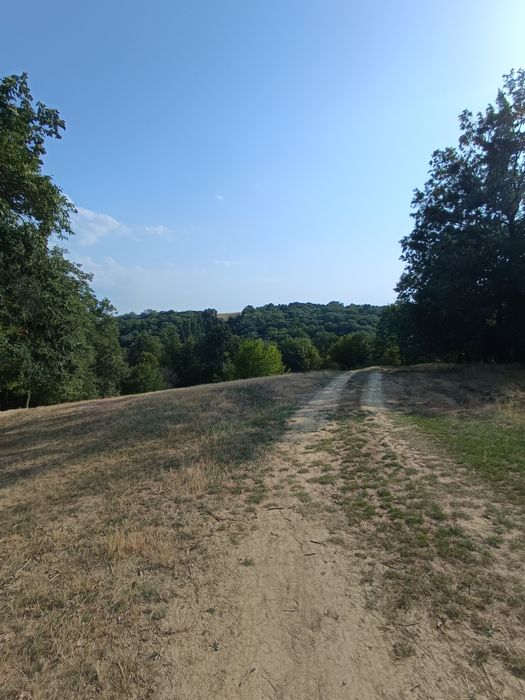 Teren  cu schiță topografica