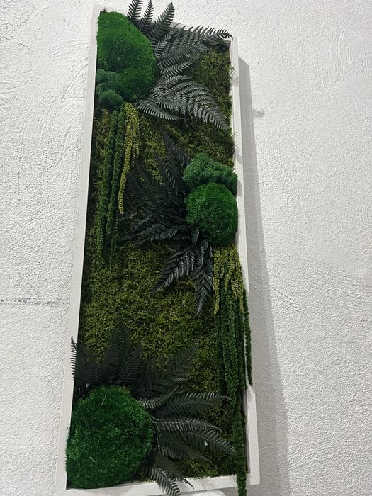 Tablouri cu muschi, licheni si plante naturale stabilizate