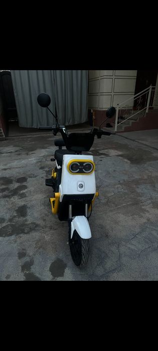 Elektor sukutur yangidek