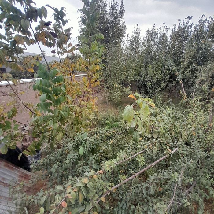 Yer uchastkasi sotiladi