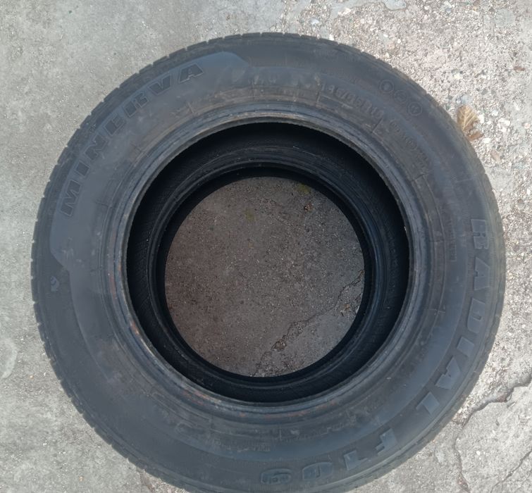 Minerva Radial 195/55/15