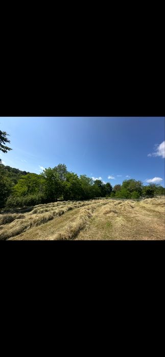 Vand baloti fan productie 2025