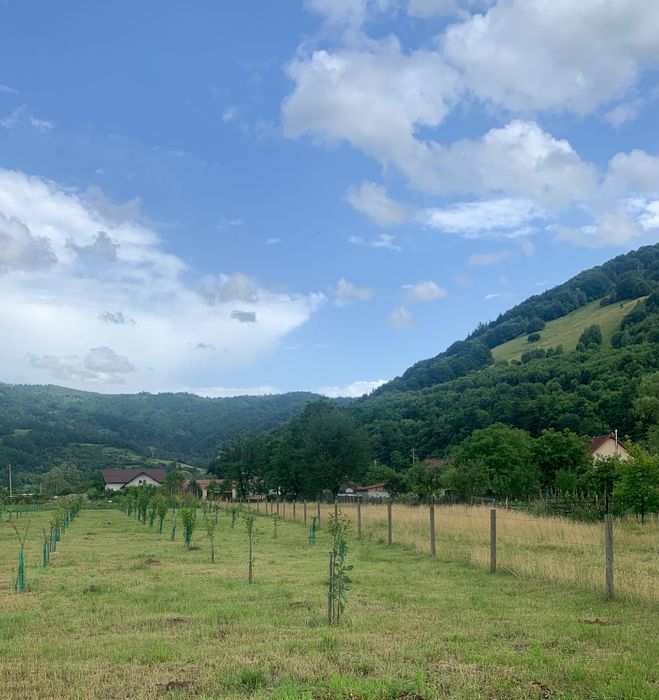 Teren intravilan 4.300 mp – Leordina ( Maramures ), lângă DN18 & Restaurant KM 108 | poziție excelentă