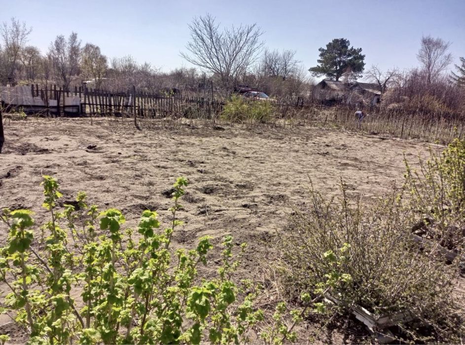 Дача Здоровья с домиком