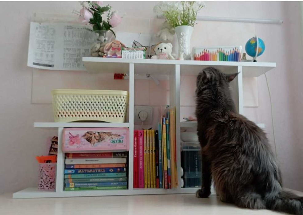 Полка настенная навесная для книг KV-mebel для детской