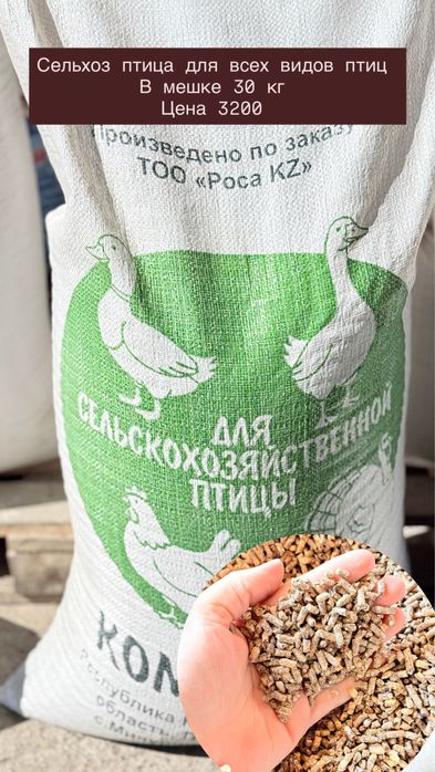 Комби корма для птиц всех видов