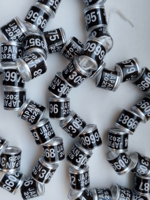 Кольца для голубей 2025