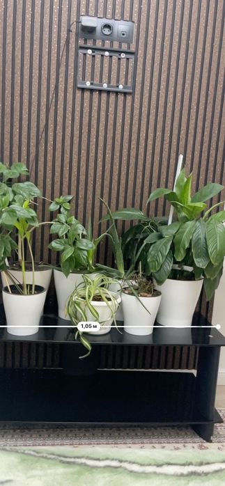 Тумба под телевизор