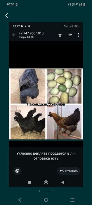 Уйхелию продается