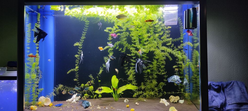 Заводской аквариум 425 л.