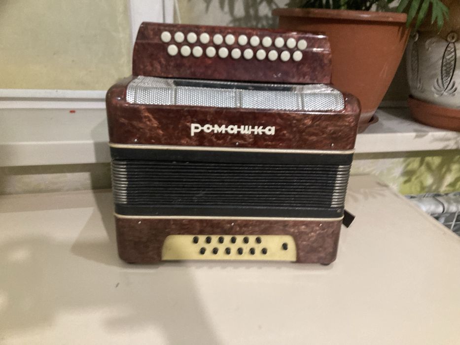 Гармошка «ромашка»