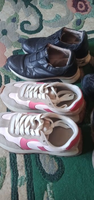 Красовка разные  зима лето