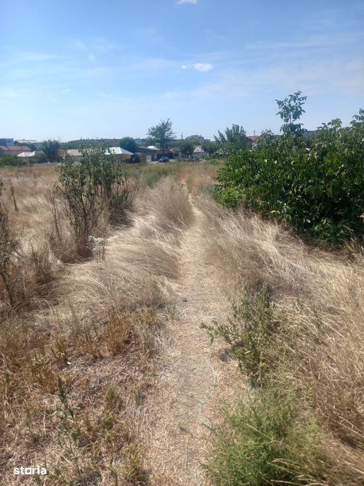 Teren intravilan Brosteni