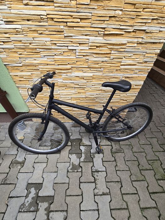 Biciclete     Mountain bike