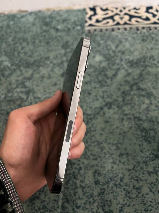 Iphone 13 pro max ideal